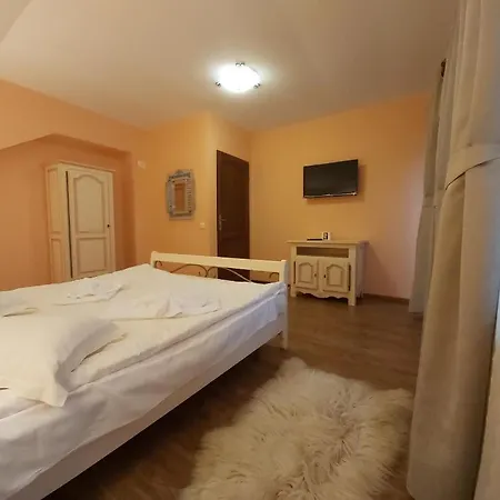Villa Piscul Ursului