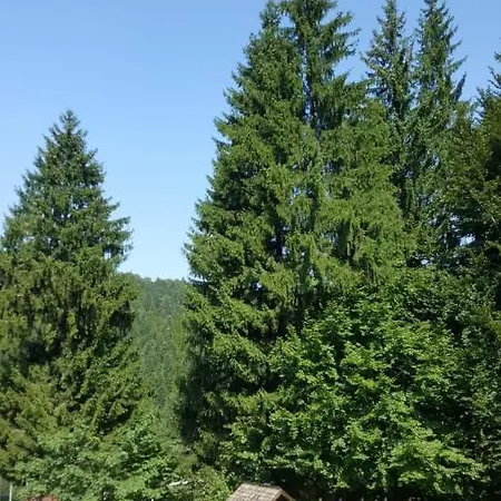 Piscul Ursului Predeal