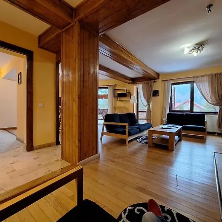 Piscul Ursului Villa *
