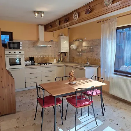 Villa Piscul Ursului *